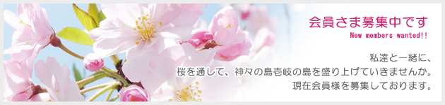島さくら壱岐